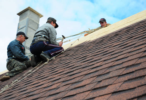 Best Gutter Installation and Roofing  in Lake Camelot, WI